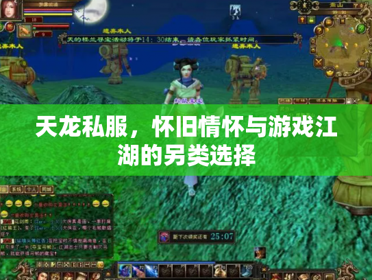天龙私服，怀旧情怀与游戏江湖的另类选择