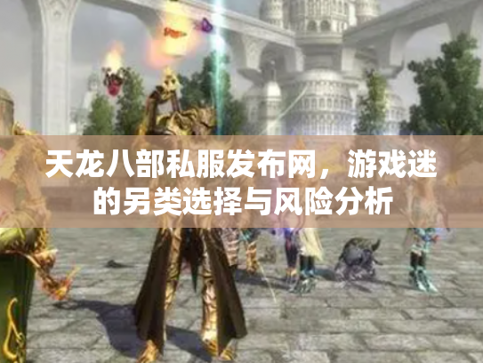 天龙八部私服发布网，游戏迷的另类选择与风险分析
