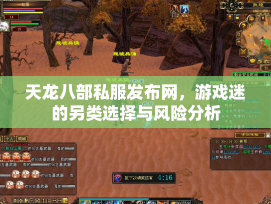 天龙八部私服发布网，游戏迷的另类选择与风险分析