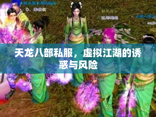 天龙八部私服，虚拟江湖的诱惑与风险