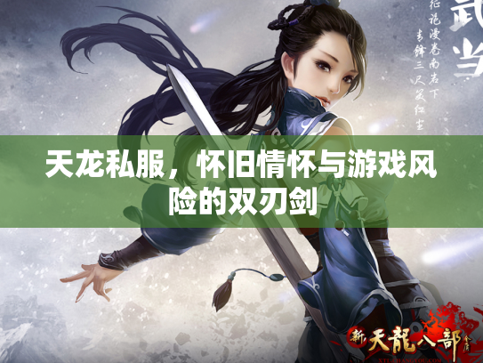 天龙私服，怀旧情怀与游戏风险的双刃剑