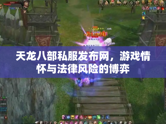 天龙八部私服发布网，游戏情怀与法律风险的博弈