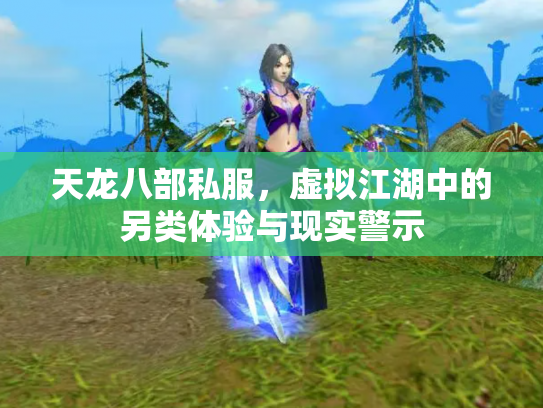 天龙八部私服，虚拟江湖中的另类体验与现实警示