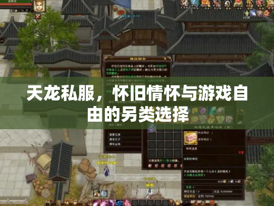 天龙私服，怀旧情怀与游戏自由的另类选择