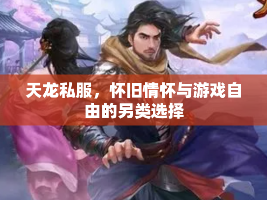 天龙私服，怀旧情怀与游戏自由的另类选择