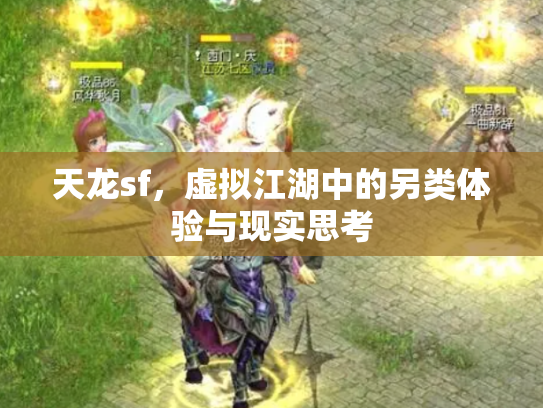 天龙sf，虚拟江湖中的另类体验与现实思考
