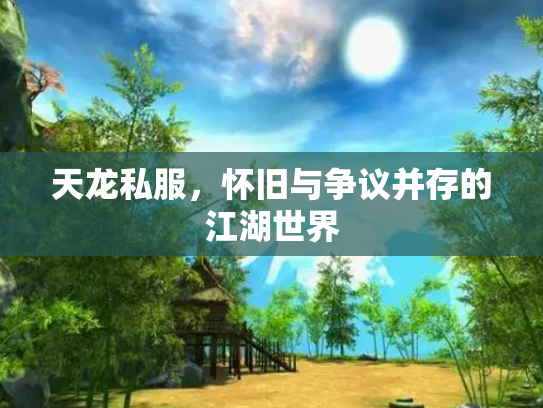 天龙私服，怀旧与争议并存的江湖世界
