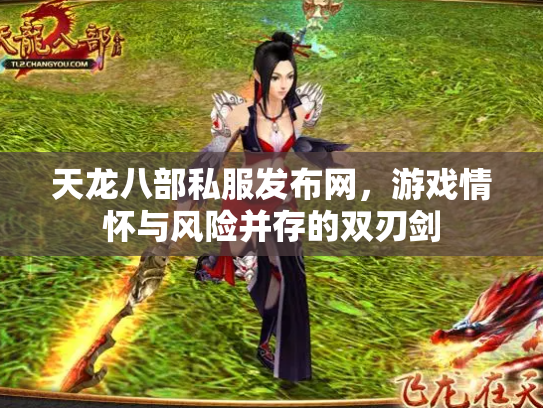 天龙八部私服发布网，游戏情怀与风险并存的双刃剑