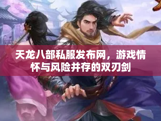 天龙八部私服发布网，游戏情怀与风险并存的双刃剑
