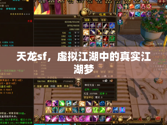 天龙sf，虚拟江湖中的真实江湖梦