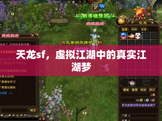 天龙sf，虚拟江湖中的真实江湖梦