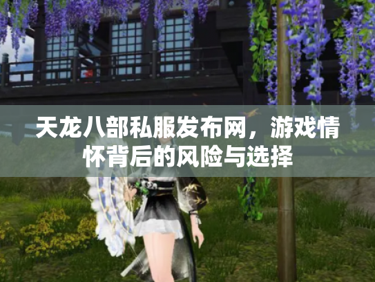 天龙八部私服发布网，游戏情怀背后的风险与选择