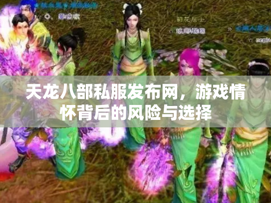 天龙八部私服发布网，游戏情怀背后的风险与选择