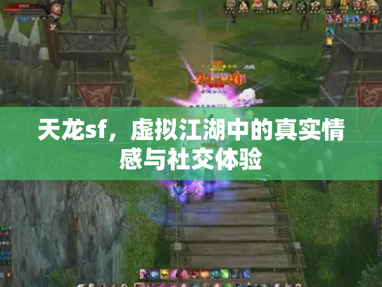 天龙sf，虚拟江湖中的真实情感与社交体验