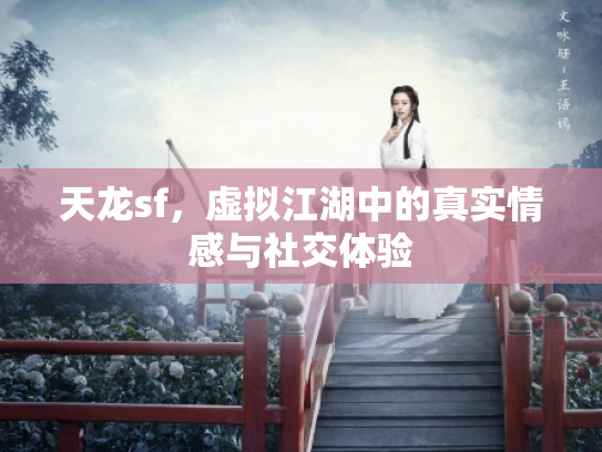 天龙sf，虚拟江湖中的真实情感与社交体验