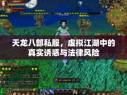 天龙八部私服，虚拟江湖中的真实诱惑与法律风险