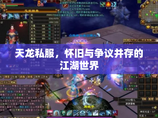 天龙私服，怀旧与争议并存的江湖世界
