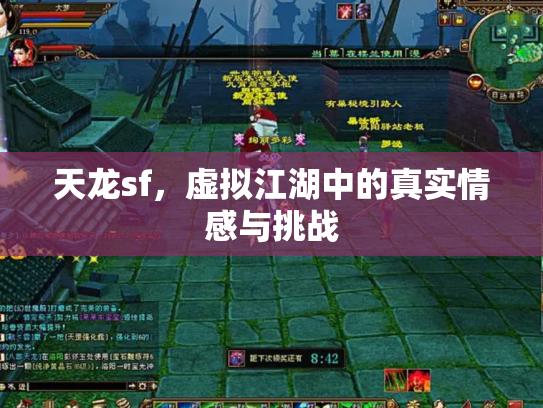 天龙sf，虚拟江湖中的真实情感与挑战
