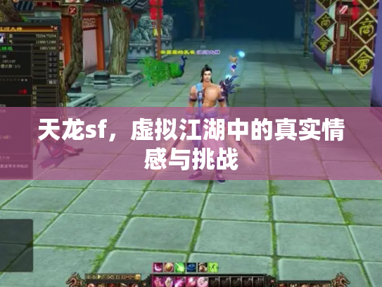 天龙sf，虚拟江湖中的真实情感与挑战