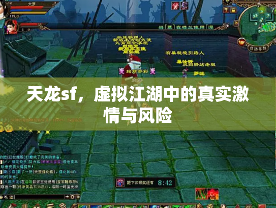 天龙sf，虚拟江湖中的真实激情与风险
