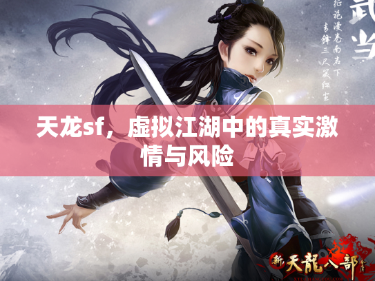 天龙sf，虚拟江湖中的真实激情与风险