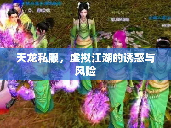 天龙私服，虚拟江湖的诱惑与风险