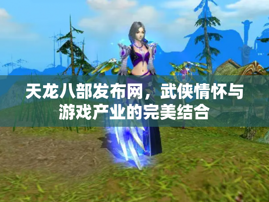 天龙八部发布网，武侠情怀与游戏产业的完美结合
