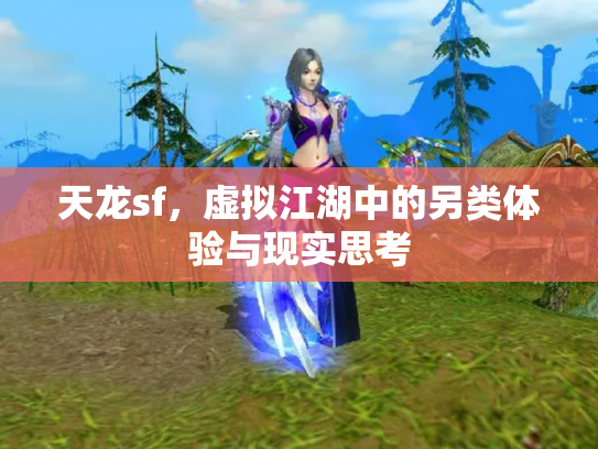 天龙sf，虚拟江湖中的另类体验与现实思考