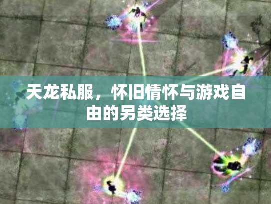 天龙私服，怀旧情怀与游戏自由的另类选择