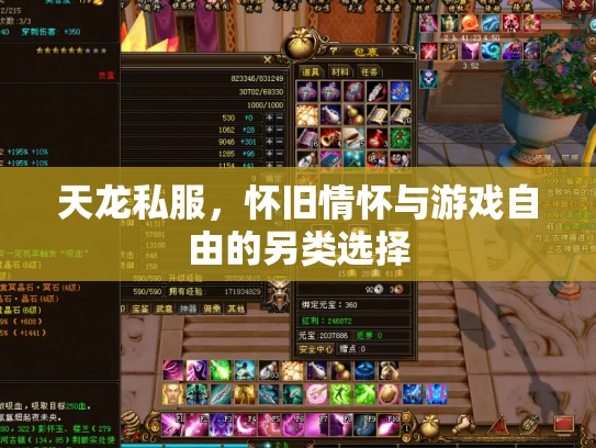 天龙私服，怀旧情怀与游戏自由的另类选择