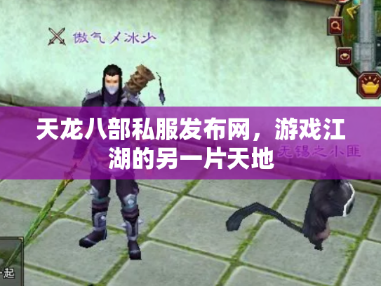 天龙八部私服发布网，游戏江湖的另一片天地