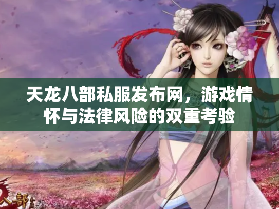 天龙八部私服发布网，游戏情怀与法律风险的双重考验