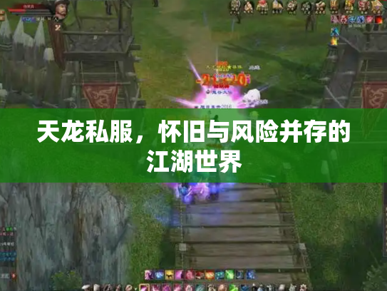 天龙私服，怀旧与风险并存的江湖世界