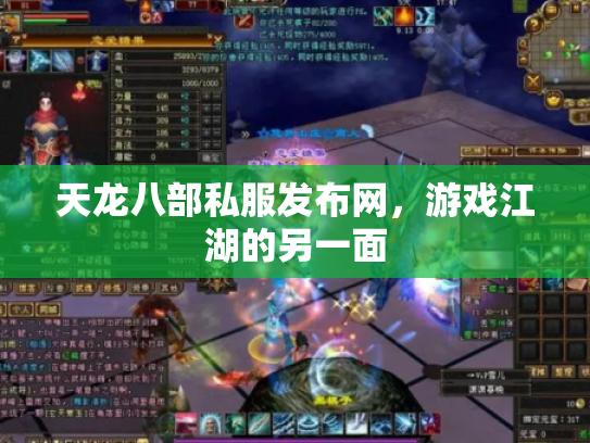 天龙八部私服发布网，游戏江湖的另一面
