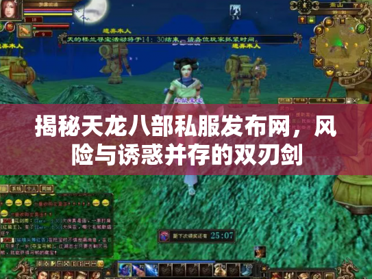 揭秘天龙八部私服发布网，风险与诱惑并存的双刃剑