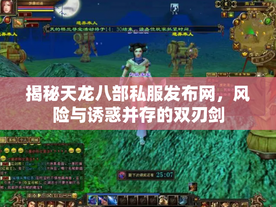 揭秘天龙八部私服发布网，风险与诱惑并存的双刃剑