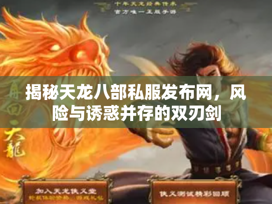 揭秘天龙八部私服发布网，风险与诱惑并存的双刃剑