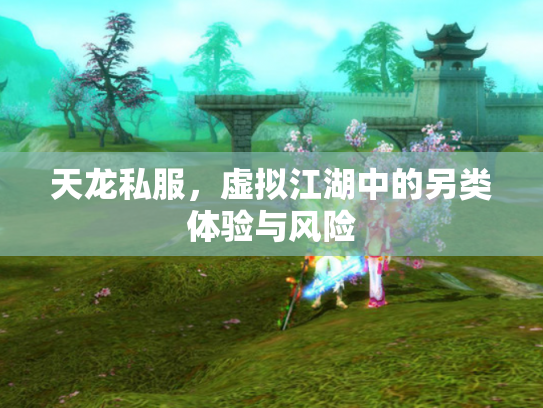 天龙私服，虚拟江湖中的另类体验与风险