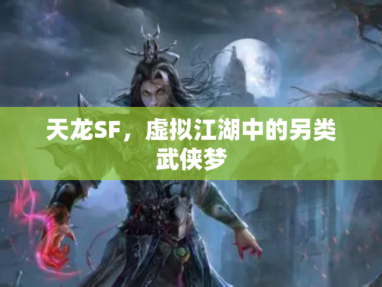 天龙SF，虚拟江湖中的另类武侠梦