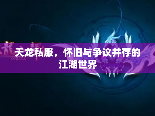 天龙私服，怀旧与争议并存的江湖世界