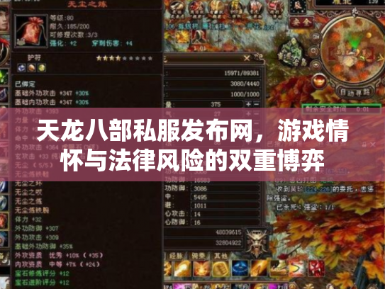 天龙八部私服发布网，游戏情怀与法律风险的双重博弈