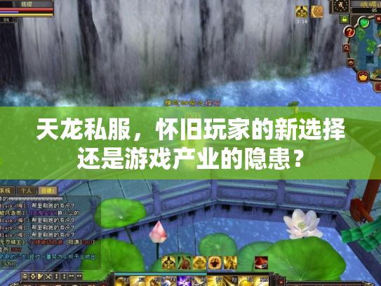 天龙私服，怀旧玩家的新选择还是游戏产业的隐患？