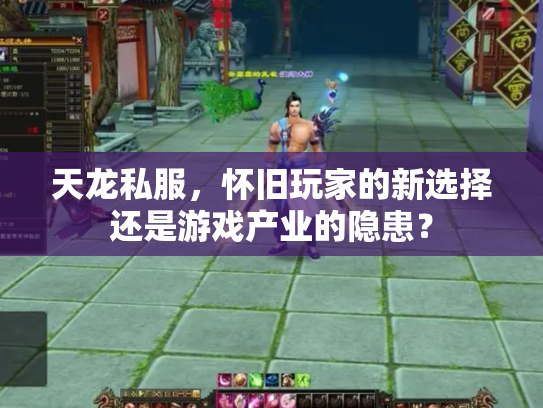 天龙私服，怀旧玩家的新选择还是游戏产业的隐患？