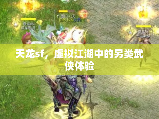 天龙sf，虚拟江湖中的另类武侠体验