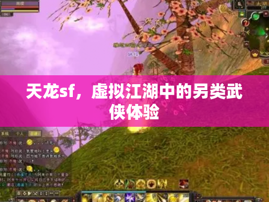 天龙sf，虚拟江湖中的另类武侠体验