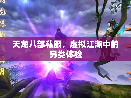 天龙八部私服，虚拟江湖中的另类体验