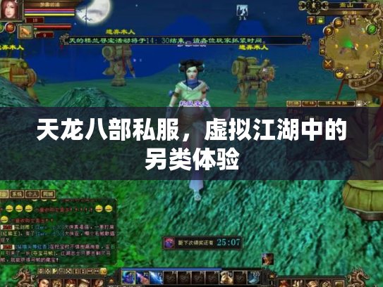 天龙八部私服，虚拟江湖中的另类体验