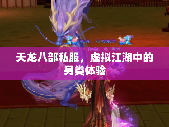 天龙八部私服，虚拟江湖中的另类体验