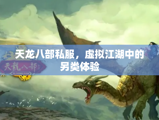 天龙八部私服，虚拟江湖中的另类体验