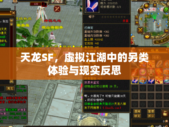天龙SF，虚拟江湖中的另类体验与现实反思